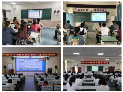 眉山市中小学心理健康与法治教育工作培训会圆满举行，夯实教育文化根基